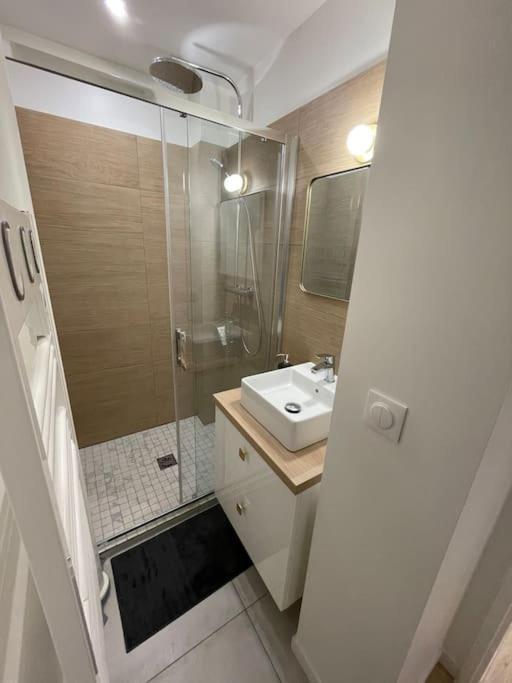 Blue Iro, Lumineux, 4 Chambres, Balcon, 105M2 Saint-Etienne  Kültér fotó